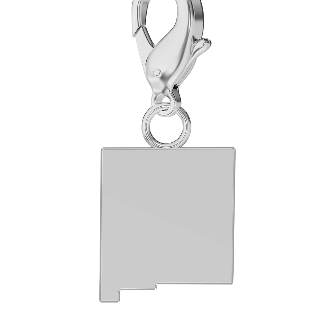 USA State Flag & Map Charms Set - Image 31
