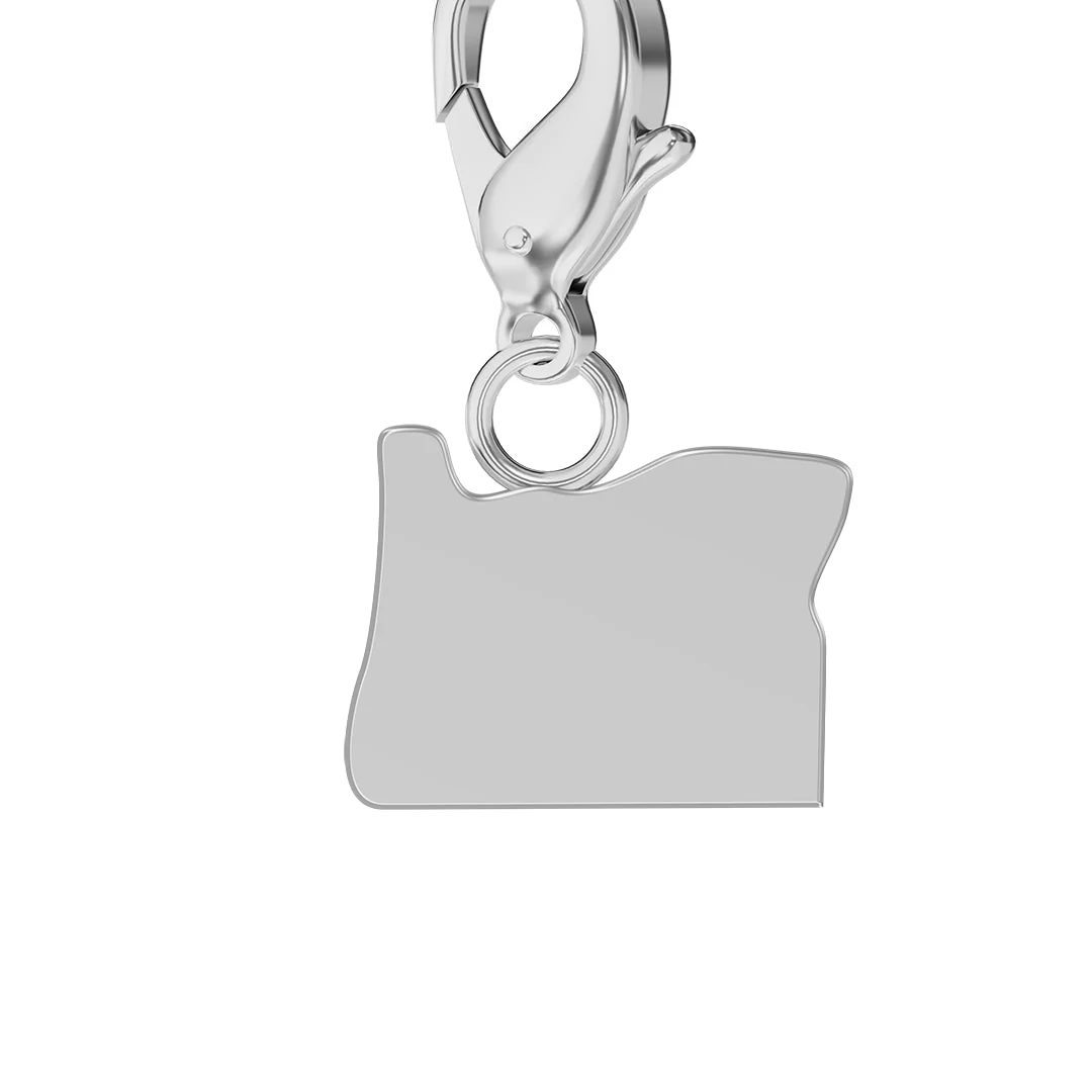 USA State Flag & Map Charms Set - Image 37
