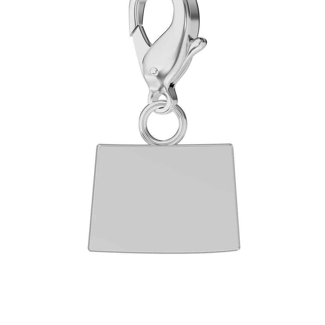 USA State Flag & Map Charms Set - Image 51